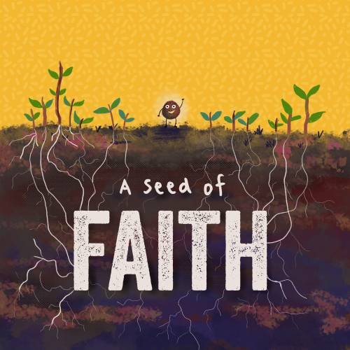 The books front cover.